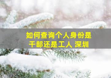 如何查询个人身份是干部还是工人 深圳